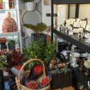 한스앤메이 이미지