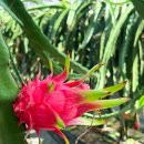 백용농장 이미지