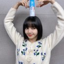 리사플라워 이미지