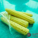 괴강향토식당 이미지