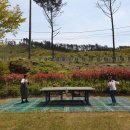 조아 족구장 이미지