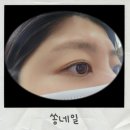 쌍문역속눈썹펌 찾는다면 쏭네일 깔끔한 속눈썹펌 후기