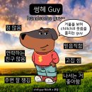 타투 제거 4-5회차 &amp; chill chill 맞은 1월 &amp; 대전역 지도표 성경김