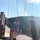 연하엽구름다리 네이버블로그