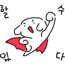 라파헬스