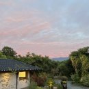 스테이더담 이서점 | 싱그러운 자연 속에서 하루🌿스테이더담 이서점 후기