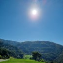 푸른솔공원 화장실 | 경기도 골프장 포천 푸른솔CC 레이크코스 운동전 아침 뷔페로 식사 후 운동한 후기