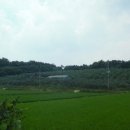 석문면행정복지센터 이미지