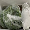 가파마을영농조합법인 이미지