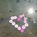 북천농원