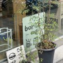 보리수카페 | 보리수, 식물에 둘러싸여 조용하게 작업하기 좋은 보문카페