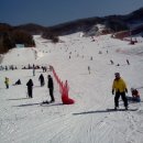 양지파인리조트 이미지