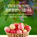 망고스토어
