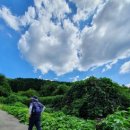 안민고개길 입구 이미지