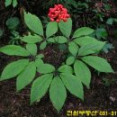 고색대로공인중개사사무소 이미지