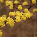 지리산휴게소 이미지