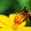 신바이오 이미지