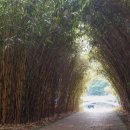 나의 이야기 나의 수필 이미지