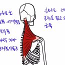 용암형제한의원 이미지
