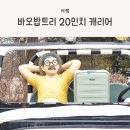 20인치 기내캐리어, 사용감 좋은 바오밥트리 캐리어 실사용 후기