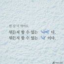 메이플트리