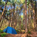 서리산농장 이미지