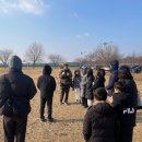 낙동강하구 큰고니 잘 만나고 왔어요~~~ 이미지