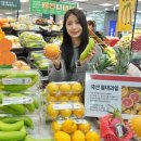 롯데마트 - 양양군 하륜길 34 | 롯데마트