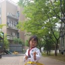 연현태권도 이미지