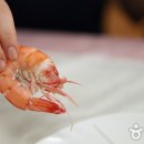 대하 이미지