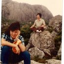 낙동약국 이미지