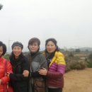 김종화농장 이미지