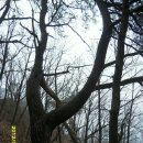 암봉농장 이미지