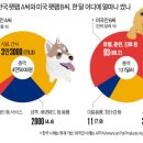 펫영양사 이미지