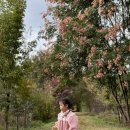 목원농장 | 서울대학교 수원수목원 생태프로그램 후기 / 4살 아이도 즐긴 숲탐방