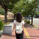 1462 | 캉골 데이 레트로코어 백팩 1462 아이보리 솔직 후기