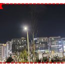 롯데랜드공인중개사사무소 이미지