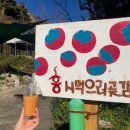 홍시먹으러곶감 이미지