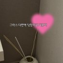 500 | 집들이선물추천 [불스원] 그라스 더 편백 달항아리 디퓨저 500ml 후기