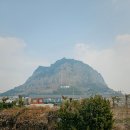 미도마트 | 사계해안 용머리해안 근처 미도식당 40년 전통 서귀포현지인맛집