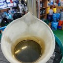 준오토카 이미지