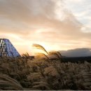 휘닉스민박 이미지