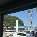 애니카랜드 후평점 이미지