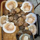 수원-0238 | [수원 세류동] '해물복단지' 야외 노포 감성 조개구이, 새우 내돈내산 아쉬웠던 후기