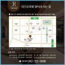댄디라인