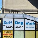 마이리틀프렌드 강남점 이미지