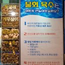 석촌] 대방어의 맛, 이게 맞나..? (feat, 장독대물회) 완도산회 포장마차 송파직영점 16만원 내돈내산 후기