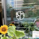 온천천 꽃집 우산플라워 연산동 교대꽃집 내돈내산 후기