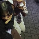전진태권도 | 큰 바람이 불었고, 세상은 그대로다
