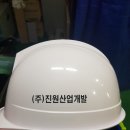 (주) 진원산업
